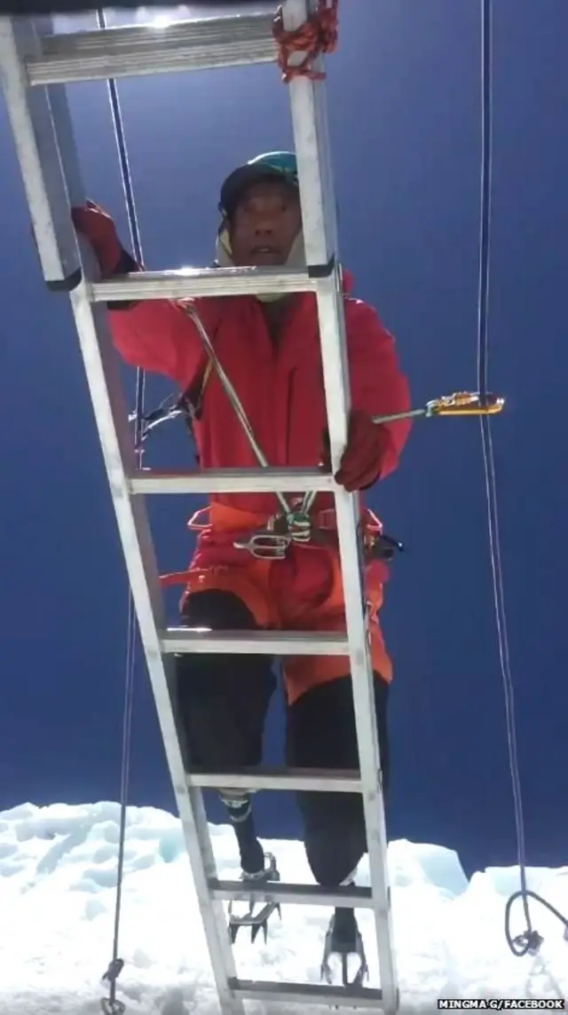 शिया बोयी