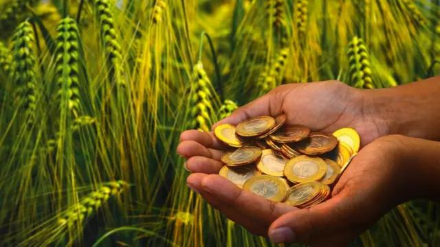 தமிழ்நாடு வேளாண் பட்ஜெட் 2022-23