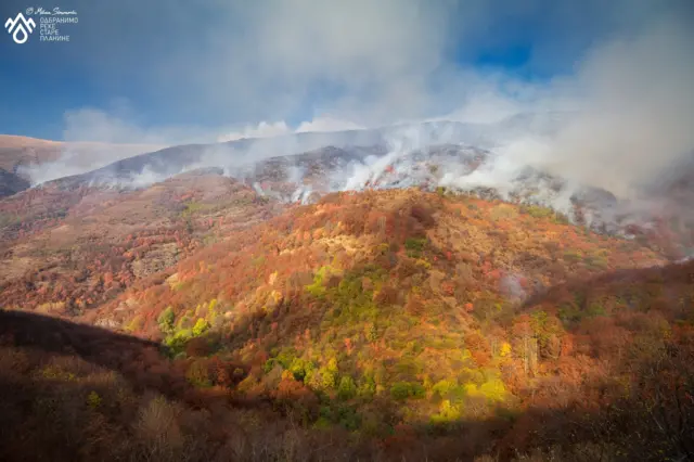 požar na staroj planini kod toplog dola