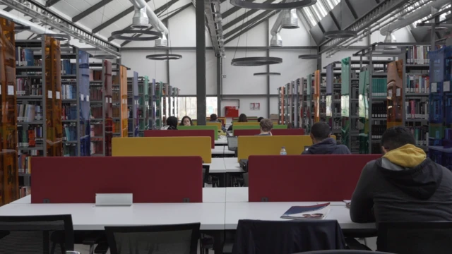 İstanbul Şehir Üniversitesi