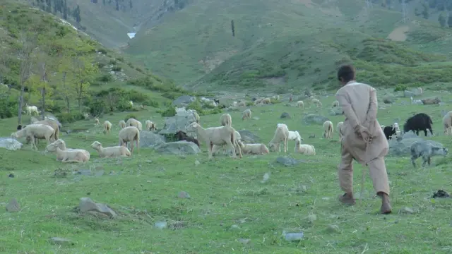 जम्मू कश्मीर का बकरवाल समुदाय