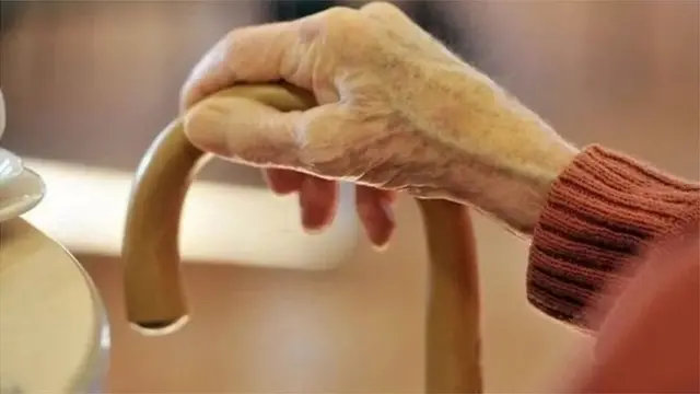 પ્રતીકાત્મક તસવીર