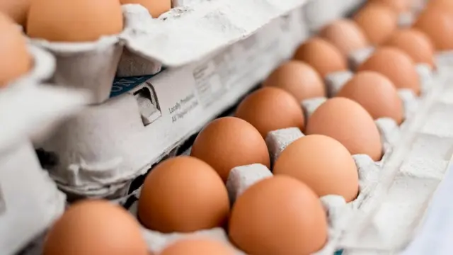 نظامنا الغذائي بين الماضي والمستقبل