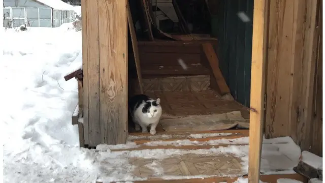 Дом Михайловой