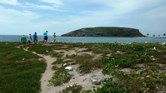 Abrolhos