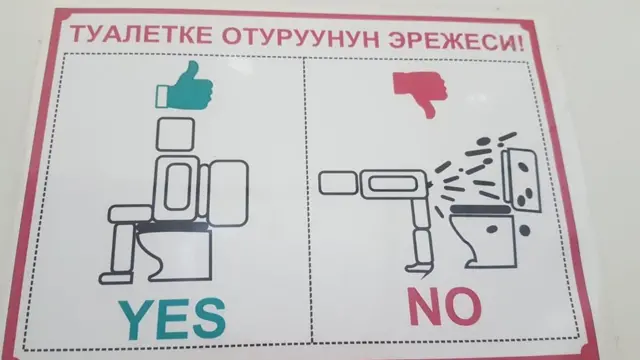 Кыргызстандагы белги