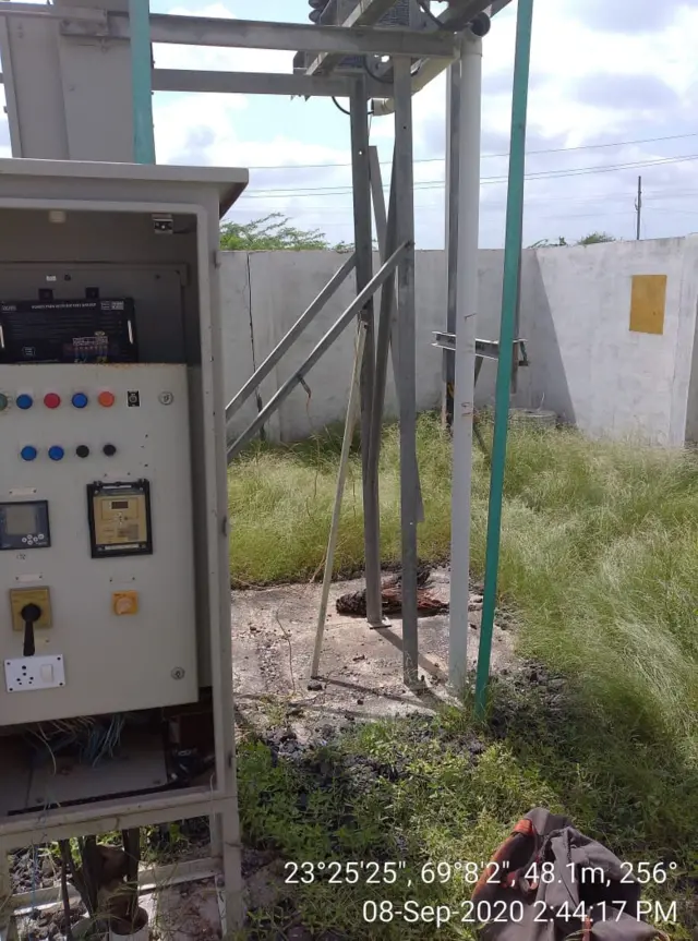 કચ્છમાં 18 જેટલા મોરનાં મૃત્યુ થયા હોવાનો અહેવાલ