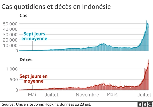 Graphique décès Delta en Indonésie