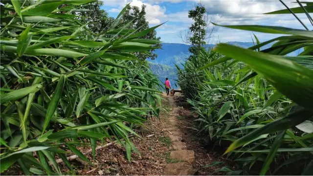 కాంగ్‌థాంగ్