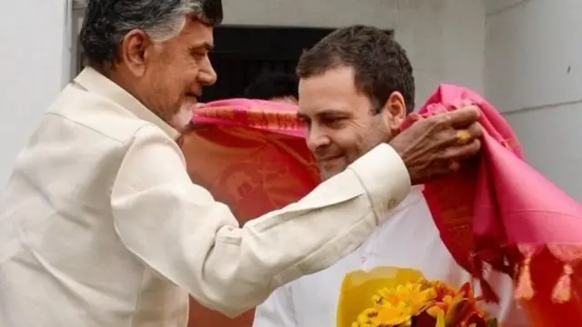 राहुल गांधी, चंद्राबाबू नायडू