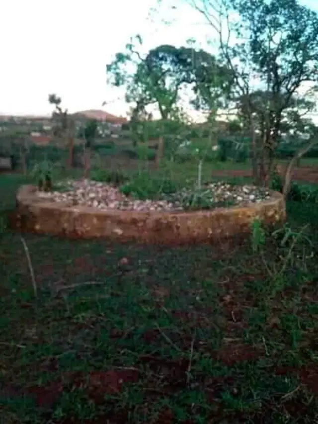 irreessa Fitaawuraarii Halakee