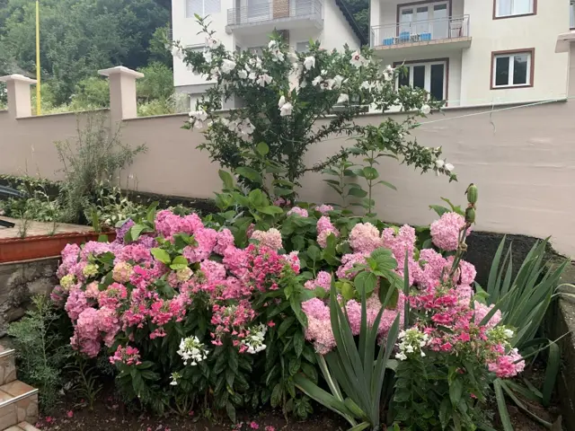 Berija gaji cveće u dvorištu