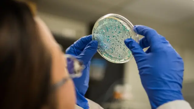 मायक्रोबाइम