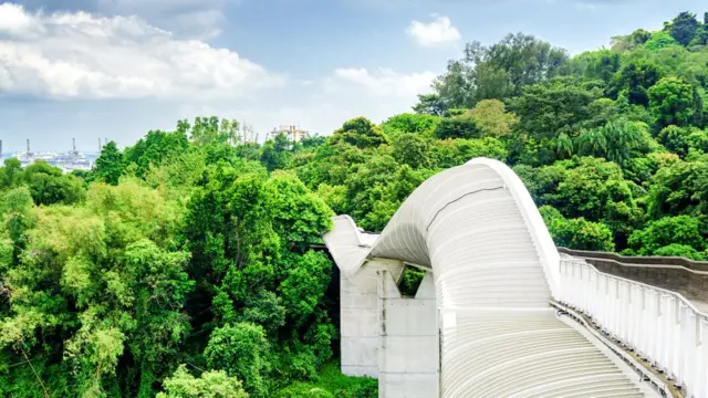 "Волны Хендерсона", Сингапур