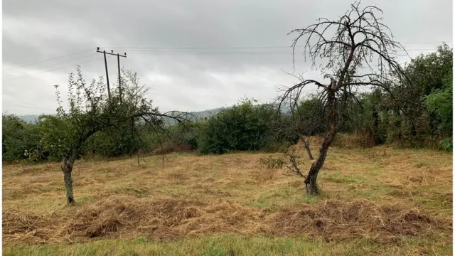 Gornje Zuniče. škola