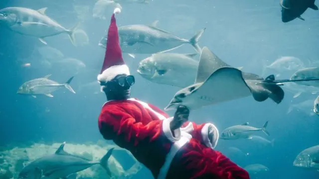 صور أفريقيا