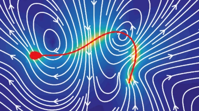 అయస్కాంత క్షేత్రం