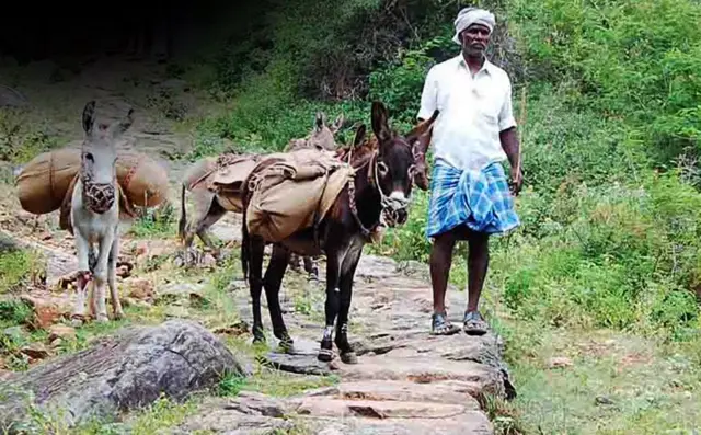 கோட்டூர்மலை