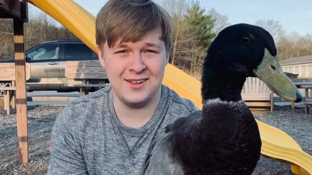 Що таке TikTok