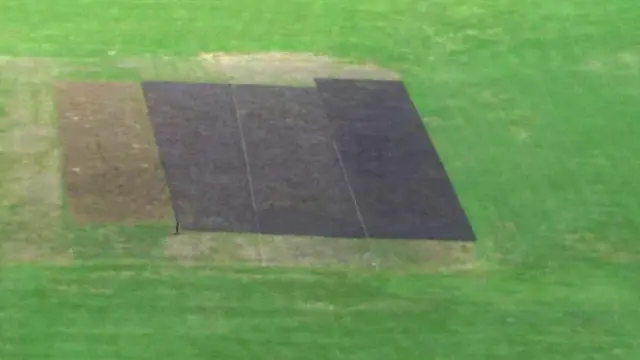 क्रिकेट पिच