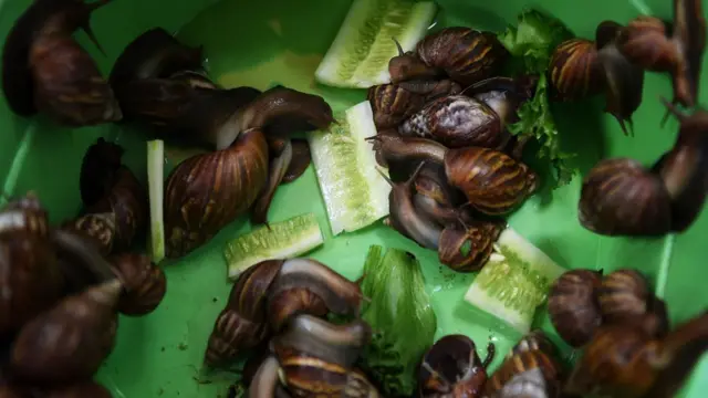 เลี้ยงดูให้กินของดี ๆ