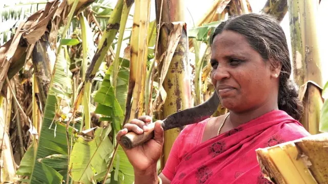 வாழைத் தோட்டத்தில் ஒரு பெண்