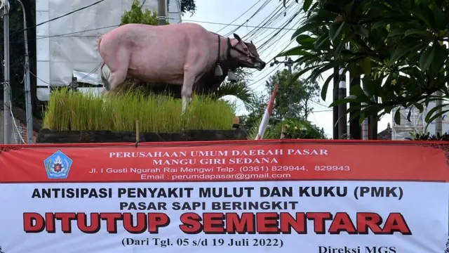 hewan kurban PMK