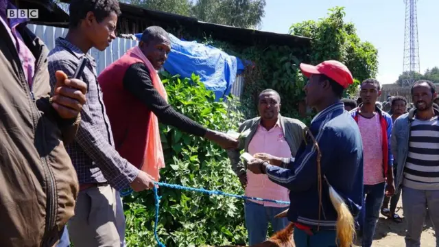 Gabaa Magaalaa Garba Gurraachaa