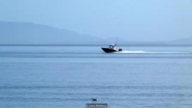 प्वाइंट रॉबर्ट्स