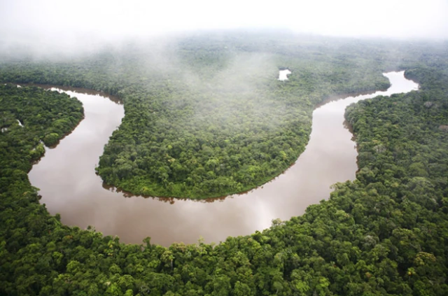 ป่าฝนลุ่มแม่น้ำแอมะซอนในภูมิภาคอเมริกาใต้