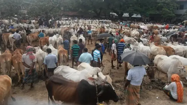 বাংলাদেশে একটি কোরবানি পশুর হাট (ফাইল ছবি)। এ সময় জাল নোটের প্রকোপ সবচেয়ে বাড়ে