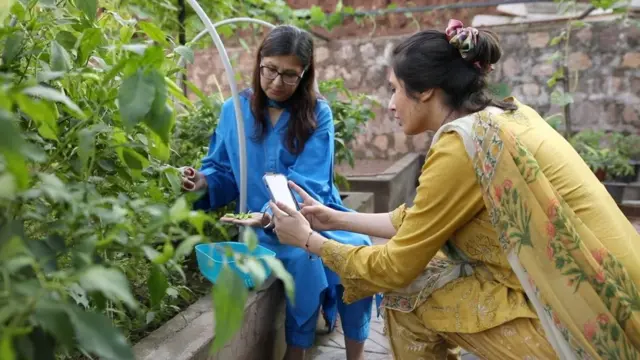 کاروبار، خواتین، پاکستان