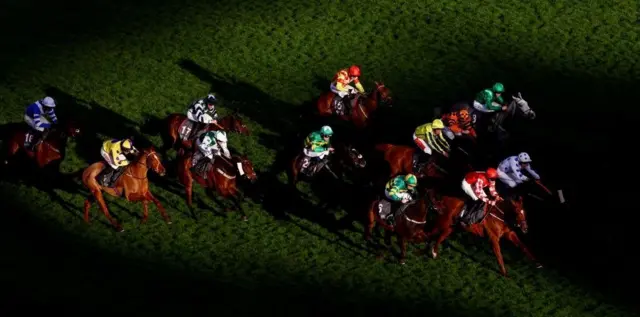 جازي ماتي الذي يركبه مايكل أوسوليفان يفوز بسباق بودلز جوفينيل هانديكاب هارد في مهرجان شلتنهام