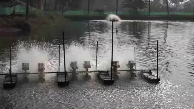 సమాచారం ఇవ్వకుండా కోతల వల్ల ఆక్వా రంగం తీవ్రంగా దెబ్బతినే ప్రమాదం ఉంది.