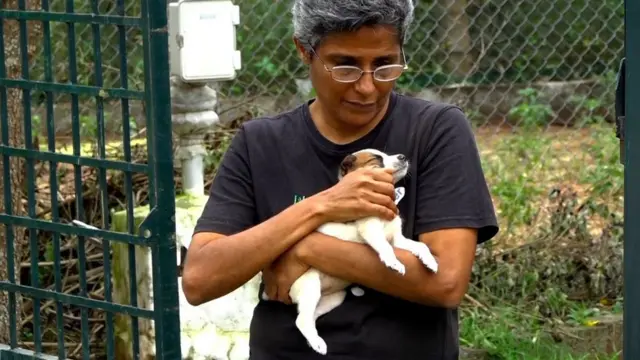 விலங்குகளின் வலி மொழி அறிந்த பெண்ணின் கதை