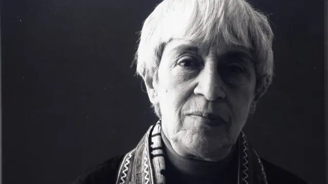 Xitoy mushuklarining yaqindan surati Murmanskdagi veb-kamerada jinsiy aloqa