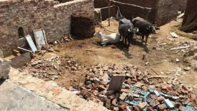 वादळामुळे नुकसान झालेला जनानवरांचा गोठा