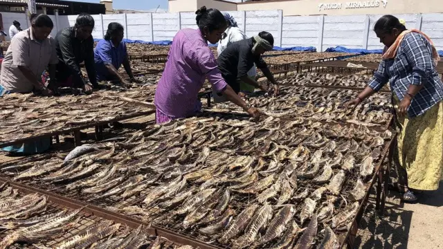 இலங்கையில் திடீர் தடை