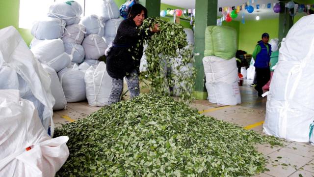 Sacos de coca en Bolivia