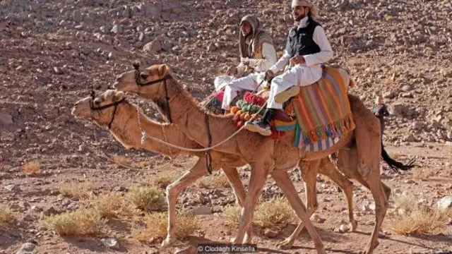Banyak anggota suku Bedouin yang sudah sejak lama memandu para peziarah di gurun Sinai.
