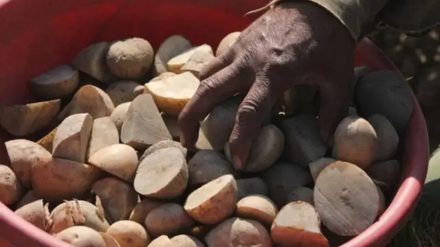 शेतकरी आंदोलन, दिल्ली, पंजाब,