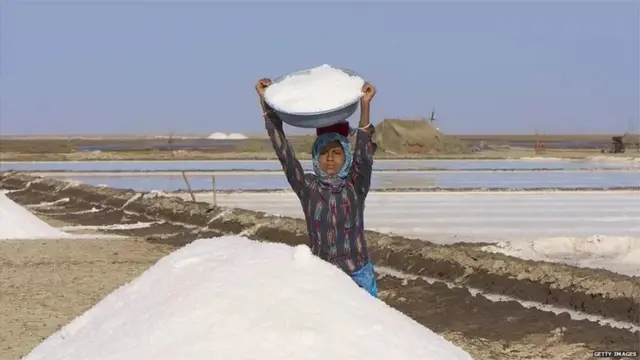 ఉప్పు మడిలో పని చేస్తున్న యువతి