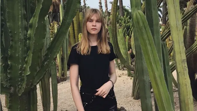 Модель Даша