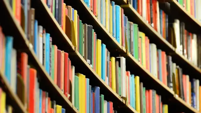 کتابخانه‌ها نمی‌توانستند برای مراجعان کتاب رزرو کنند یا عناوین مورد نظر آن‌ها را جست‌وجو کنند