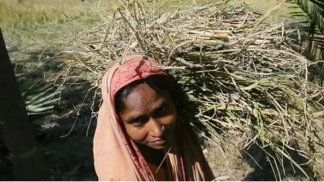 গড় আয়ু