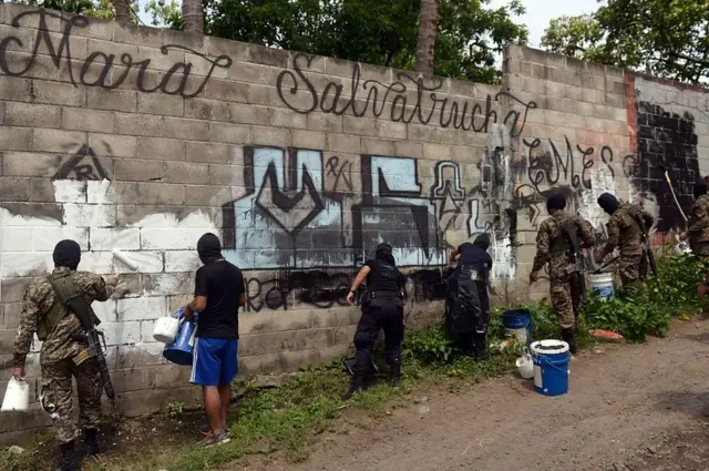 Mara Salvatrucha, cartel.