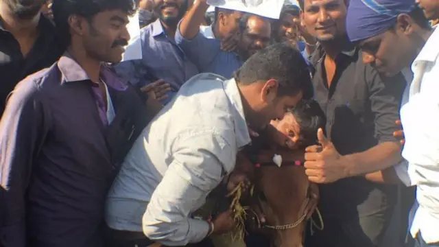 மாடுகளையும், கன்றுக் குட்டிகளையும் அழைத்து வந்து போராட்டத்தில் ஈடுபட்ட இளைஞர்கள்