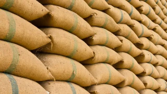 અનાજની ગુણીઓની પ્રતીકાત્મક તસવીર