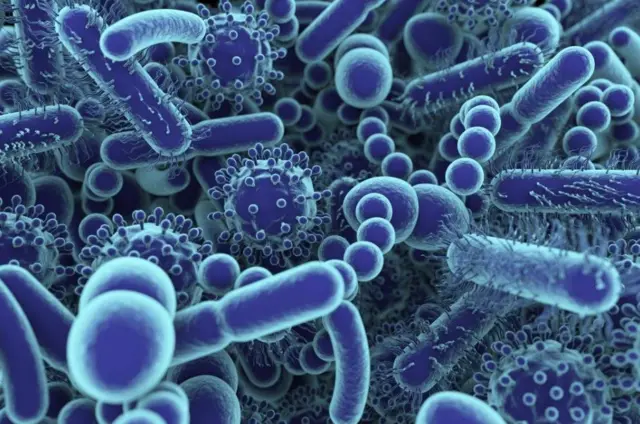 รูปไมโครไบโอม