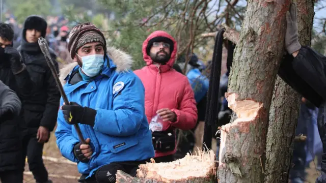 Беженец рубит дерево на белорусско-польской границе, чтобы пытаться устроить мостик через заграждения из колючей проволоки